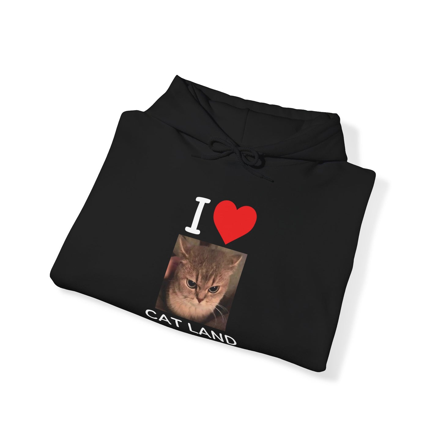 I LOVE CAT LAND CENTRAL HOODIE