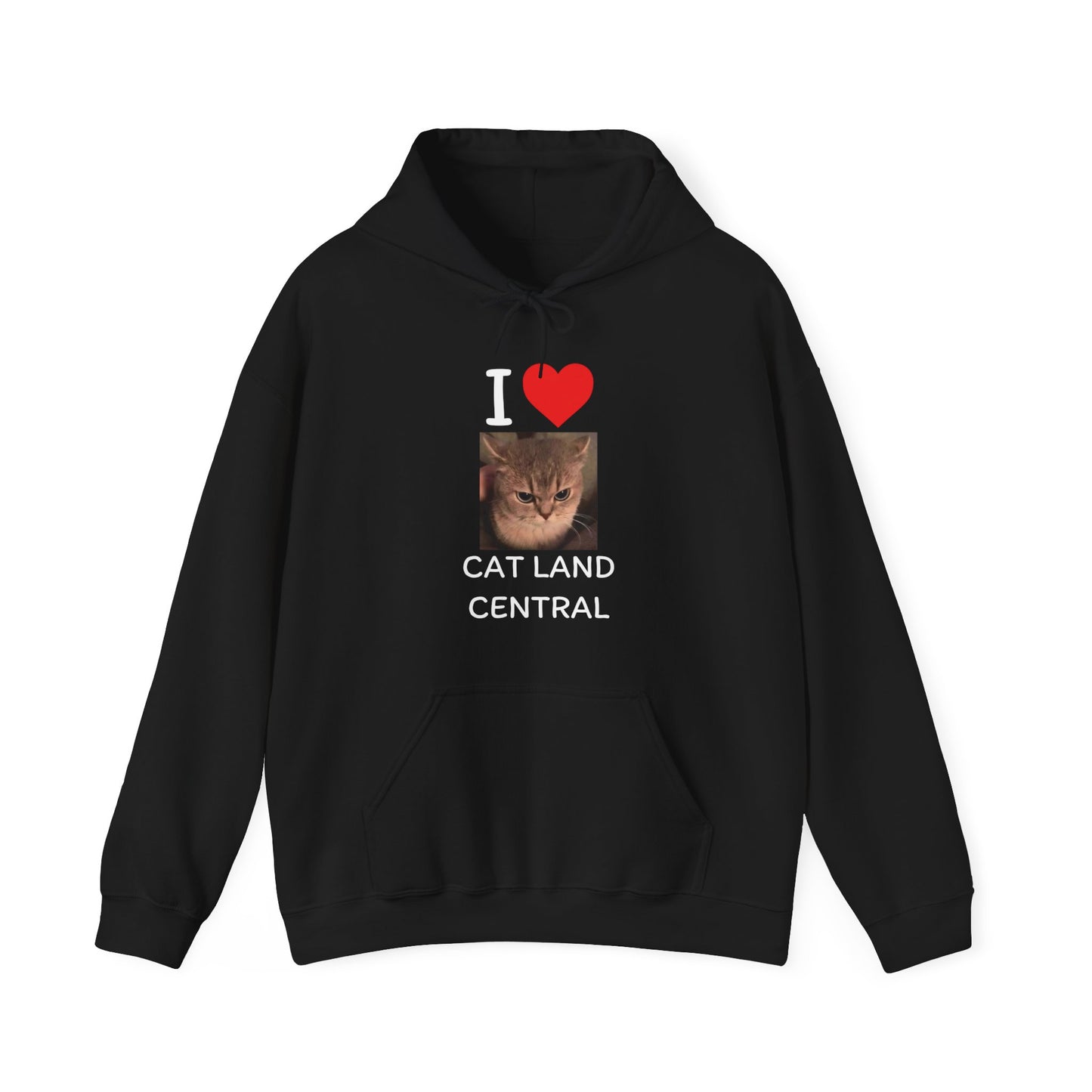 I LOVE CAT LAND CENTRAL HOODIE