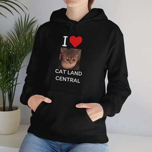 I LOVE CAT LAND CENTRAL HOODIE