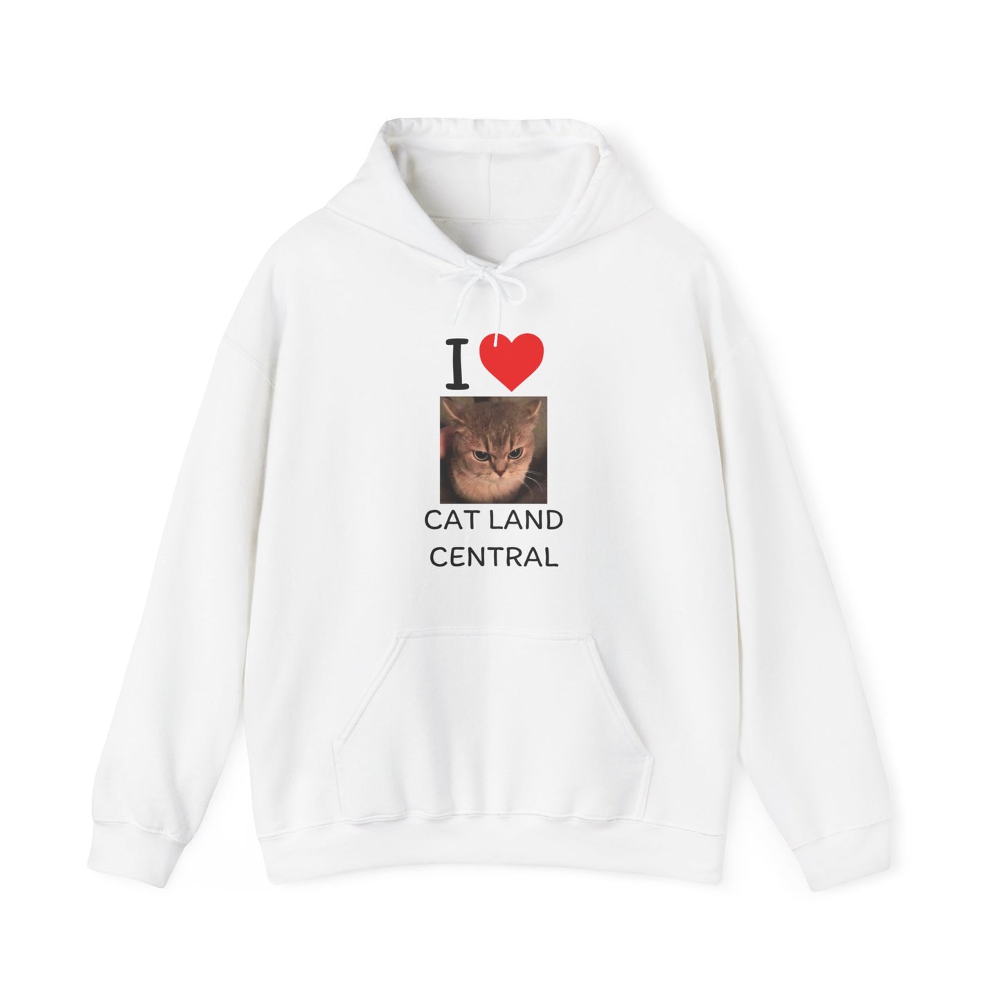 I LOVE CAT LAND CENTRAL HOODIE